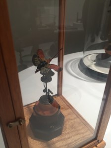 Photo Sep 17, 7 56 05 PM