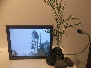 Photo Sep 17, 9 00 45 PM