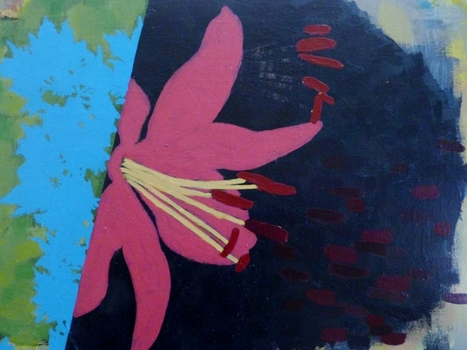 20150720202840-Pink_Lily_on_Black