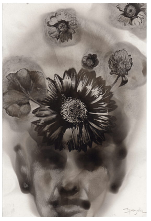 Screen Shot 2017-11-29 at 3.24.59 PM.png