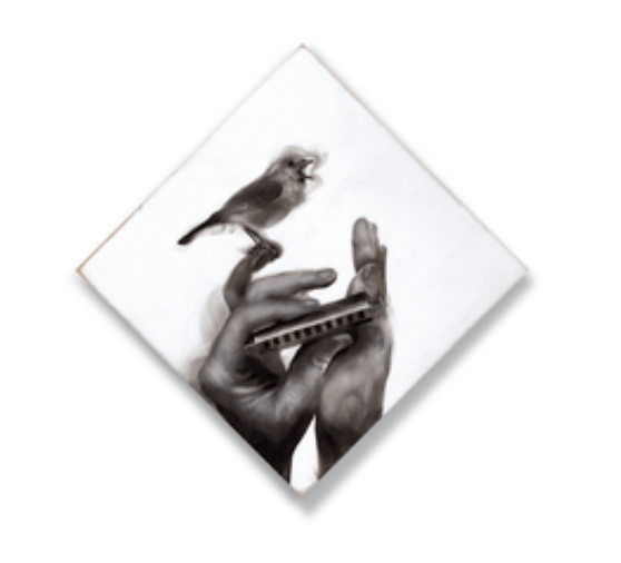 Screen Shot 2017-11-29 at 3.47.20 PM